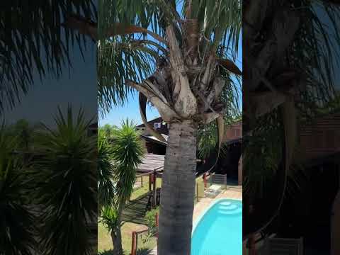 Video de Caba�as Altos del Faro