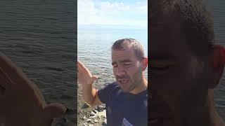 מה זה זמזמים אלקטרונים ואיך משתמשים בהם