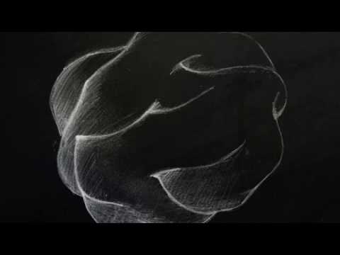 A1  Raxon - Majoris Ell038