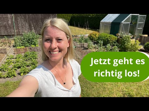 , title : 'Gartenrundgang Mitte Juni / Ich zeige wie sich meine Gemüsepflanzen entwickeln'