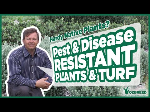 Plant Wisely: Selecting Pest & Disease Resistant Plants for Your Landscapes