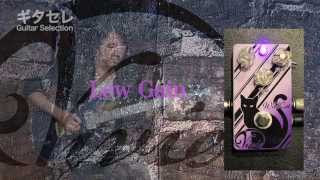 Video thumbnail for Vivie "Wild Cat" デモンストレーション by 井上裕治 by 島村楽器 公式チャンネル
