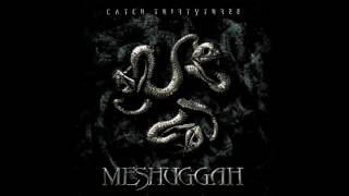 Cover art for Catch 33