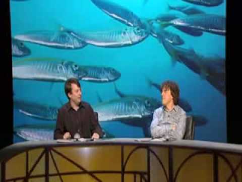 Qi highlight - The Miracle of the Herrings