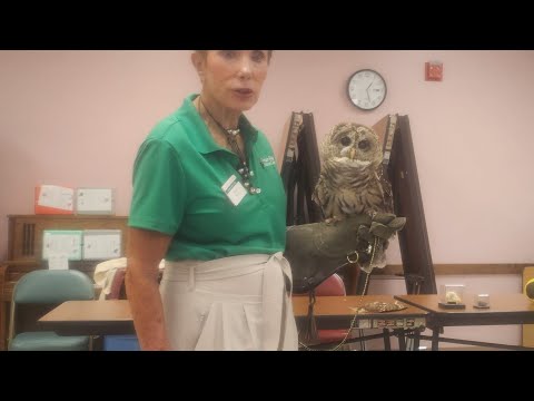 Senior Center| 👀 "Strixie" The Barred Owl With The Big  Beautiful Eyes🦉⬇️ | Listen to Her Vocals
