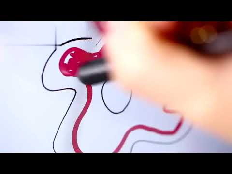 Nxi spd octa core minibook ftm10 p4 chrome