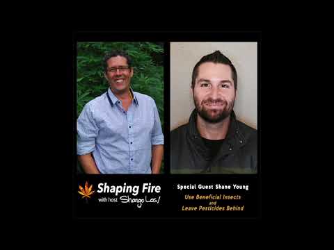 Shaping Fire Ep. 30 - Use Beneficial Insects and Leave Pesticides Behind