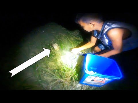Nasa tabi lang ang mga isda|pangiilaw sa Gabi|catch and cook