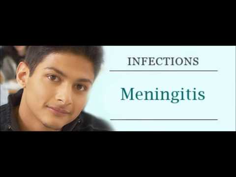 Bekfles - Uvek svezi kroasani (Gari fura meningitis)