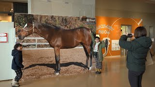 1月4日【びわ湖放送ニュース】県立琵琶湖博物館で今年の干支 「午」の書き初めや展示