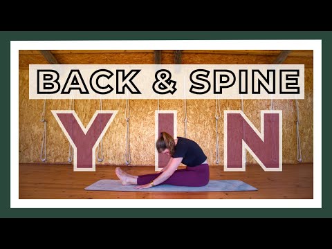 Yin Yoga for Back & Spine || Deep Back Stretch Yin to Release Sore Back / Yin Yoga Class 40-Min