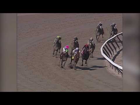 Andy and the Mig - 2003 Wood Memorial