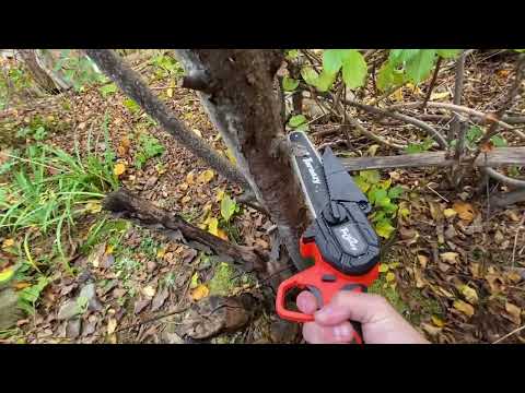 Taranzy Mini Chainsaw Review