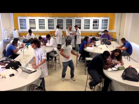 Harlem Shake - Liseo Boneriano!