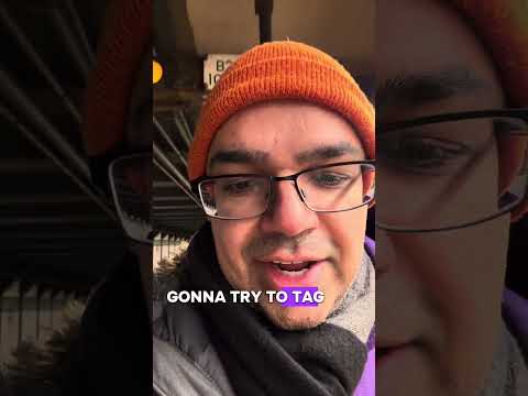 23rd St doggies! thumbnail