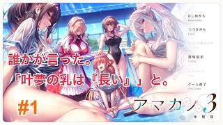 【叶夢の乳は長い】アマカノ3 体験版 第1回 「日常から非日常へ」