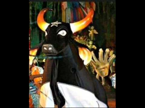 Vento Norte video