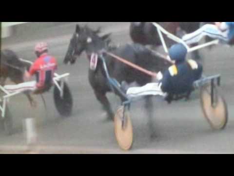 Elitloppet Solvalla Försök 2 2017 Nuncio