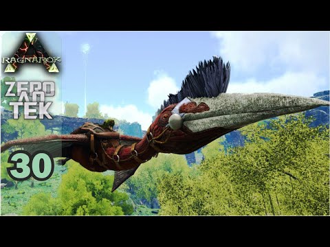 A DOMA MAIS FÁCIL DA MINHA VIDA - ZERO AO TEK - RAGNAROK - EP 30