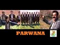 Parwana Kurdish Music Halparke