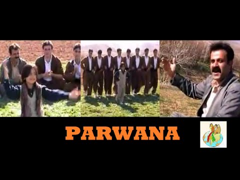 Parwana - Kurdish Music Halparke