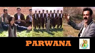 Parwana - Kurdish Music Halparke