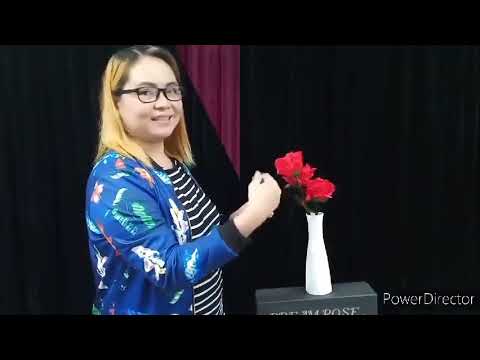 Saturn Magic - Dream Rose by JL Magic - Trick