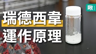 [閒聊] 目前適合繼續使用肌酸嗎?