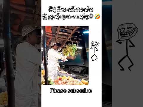 මිදි ටික බේරගන්න මුදලාලි දාන සෙල්ලම.🤣#shortsfeed #shortvideo #funny #trendingshorts #trending