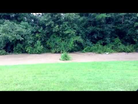 July 1, 2013 Candor (New York) flood