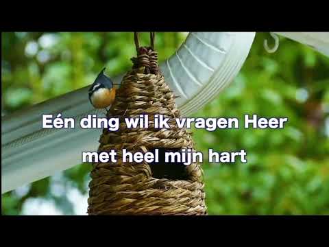 Opwekking 621 U bent mijn anker