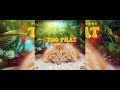 Top Banks, Steel Chest - Too Phat | M5 Riddim [Official Audio]