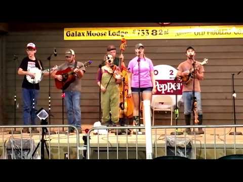 Galax 2017 | The County Fools | Yesterday's Gone