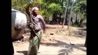 Download lagu Video lucu nenek  nenek joget kocak mp3 Download lagu Video lucu nenek  nenek joget kocak mp3