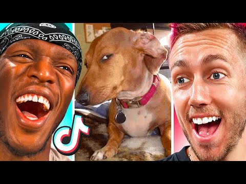 The Most Expensive Try Not To Laugh vs JJ