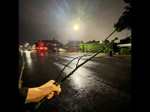 TheFuturisticIdiot - cool stick that i found