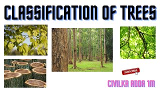 Classification of trees || Timber || Endogeneous trees || Exogeneous trees || BMCP || Wood ||