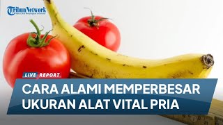 Download lagu 6 CARA ALAMI MEMPERBESAR UKURAN ALAT VITAL PRIA mp3