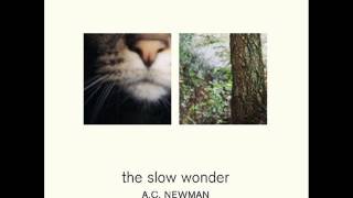 A.C. Newman - Better Than Most