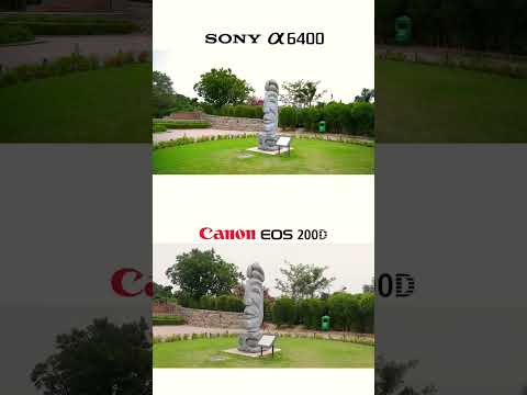 Canon 200D vs Sony a6400 #camera comparison #photography #canon200d #sony #shorts #cinematic