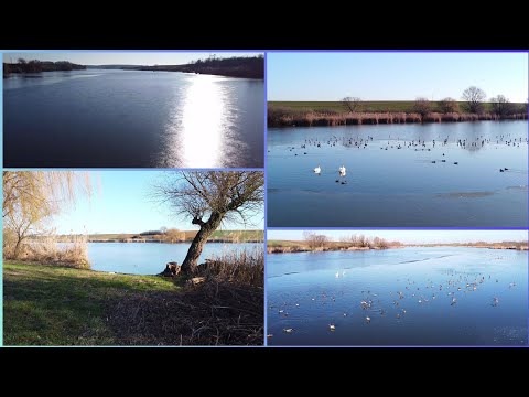Frozen Jošava Lake - Đakovo 2022. Mavic Mini