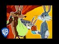 Looney Tunes Wile E Coyote Genius Vs Bugs Bunny Classic Cartoon Compilation WB Kids