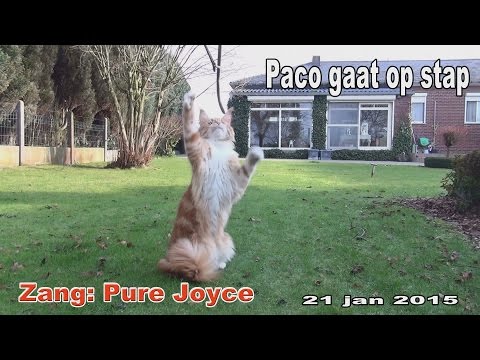 Paco Rabanne gaat op stap 21 jan 2015 zang Pure Joyce
