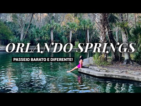 PASSEIO DIFERENTE E BARATO PERTO DE ORLANDO | Piscina natural Wekiwa Springs, muito lindo!