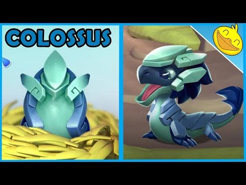 COLOSSUS DRAGON Hatching + Divine Allies LEVEL 4! - DML #1195