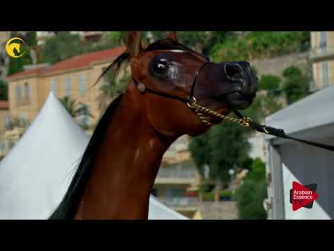 Menton 2017 - Class 6A