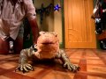 Mr Kipling Behind The Scenes JESSIE Disney Channel