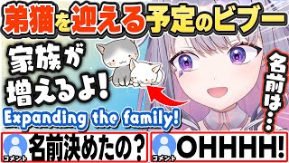 [JP/ENG SUB] ジョンキャットの弟猫のお迎え前に名前を考えるビブー Getting a new family member!【古石ビジュー/ホロライブ/切り抜き】