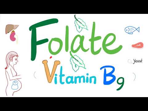 Vitamin B9 (Folate) 🥬 | Structure, Function, Folate Deficiency Anemia Diagnosis & Treatment