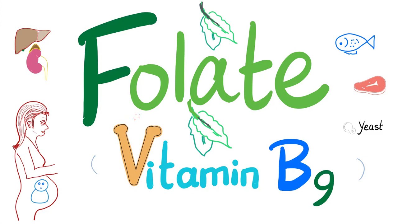 Vitamin B9 (Folate) 🥬 - Folic - Structure, Function, Folate Deficiency Anemia Diagnosis & Treatment